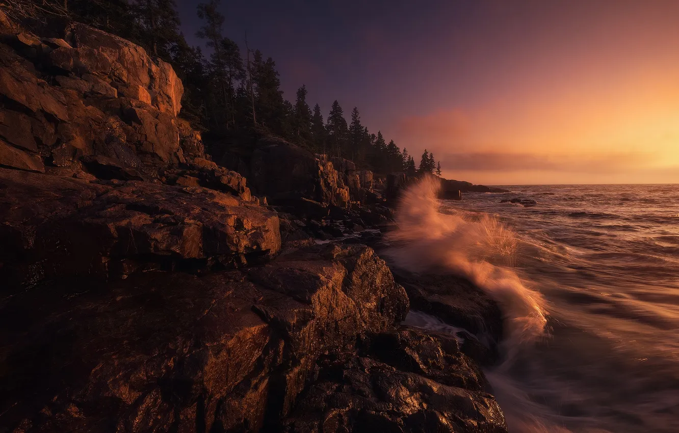Фото обои rock, sea, coast, sunset, tree, wave