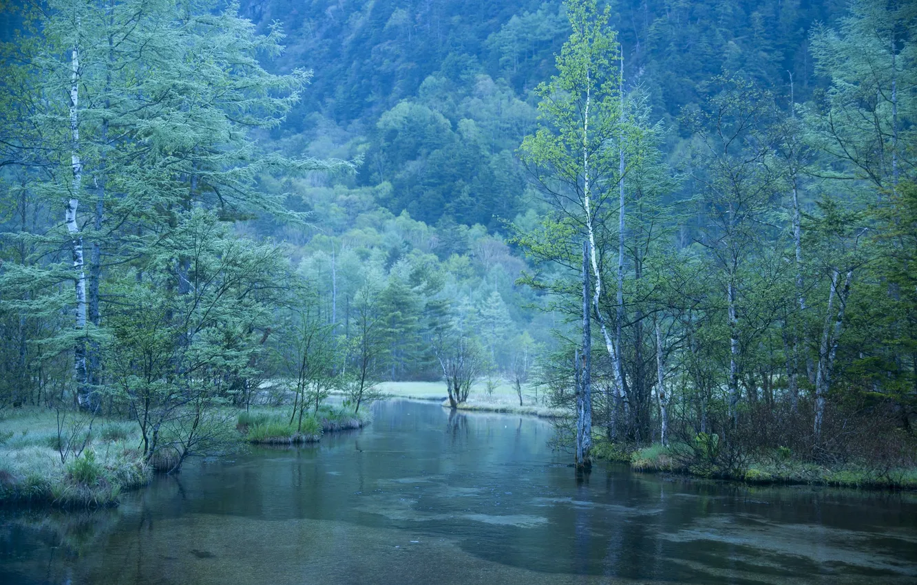 Фото обои деревья, горы, река, дымка