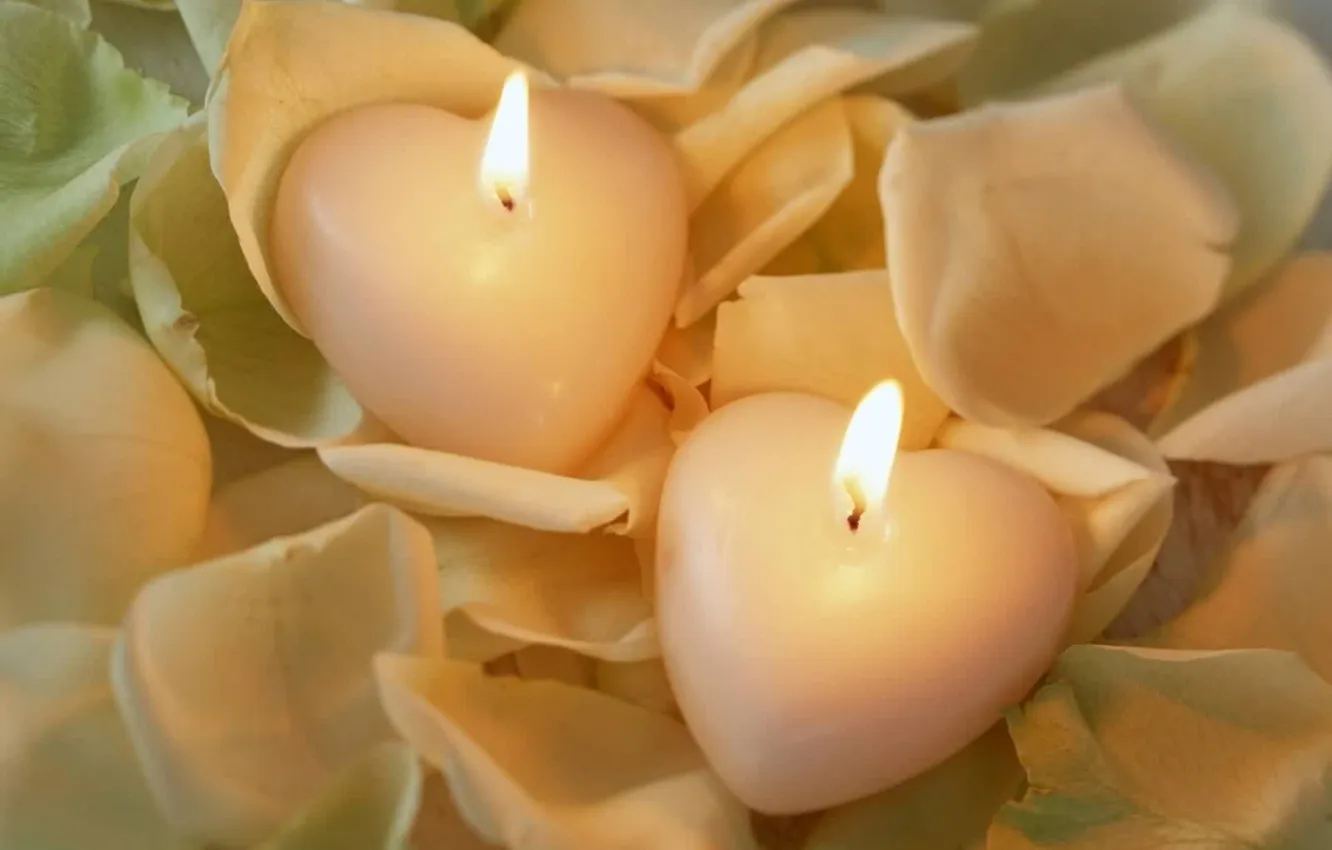 Фото обои огонь, розы, свечи, лепестки, сердечко