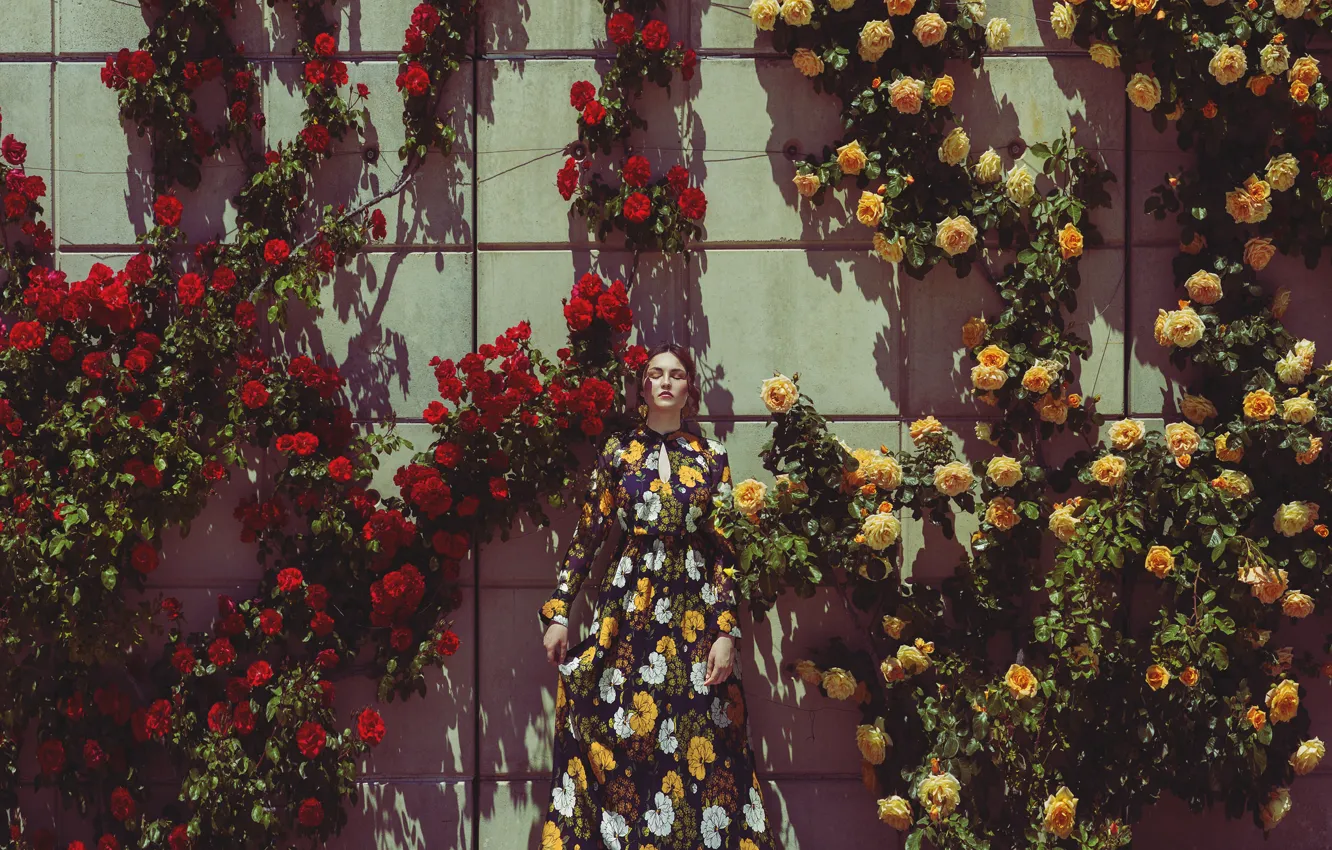 Фото обои девушка, цветы, стена, платье