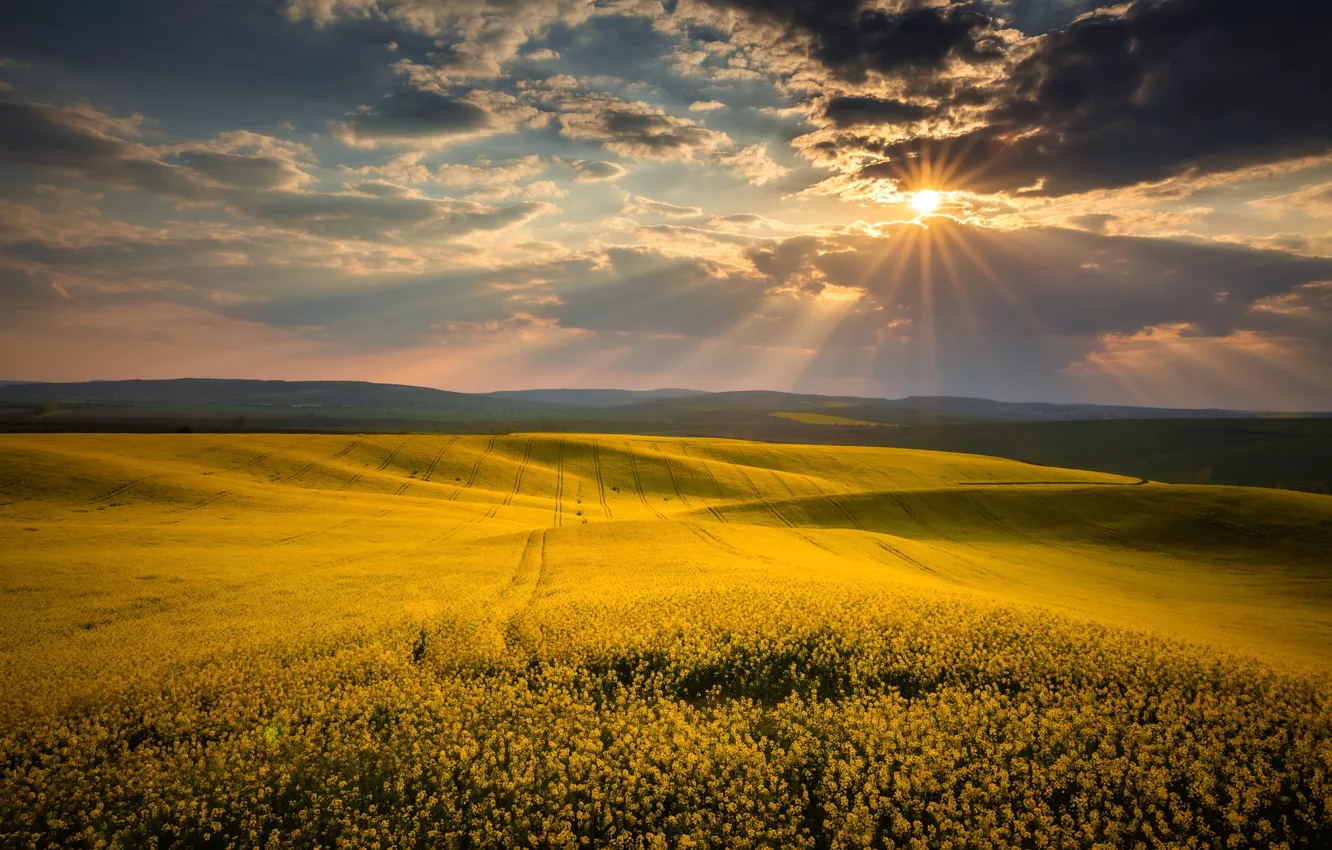 Go field. Природа Солтонского района