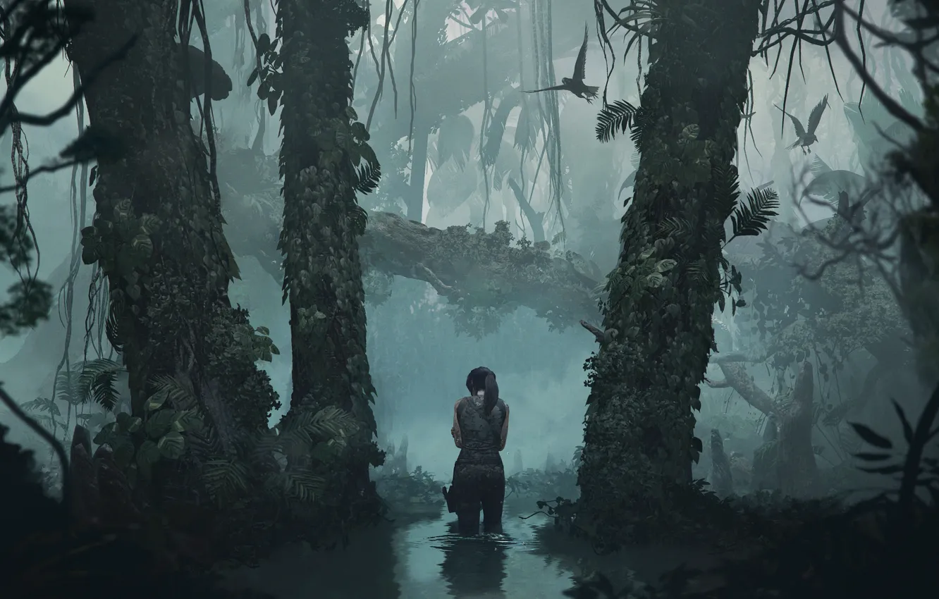 Фото обои Вода, Отражение, Девушка, Деревья, Птицы, Джунгли, Square Enix, Lara Croft