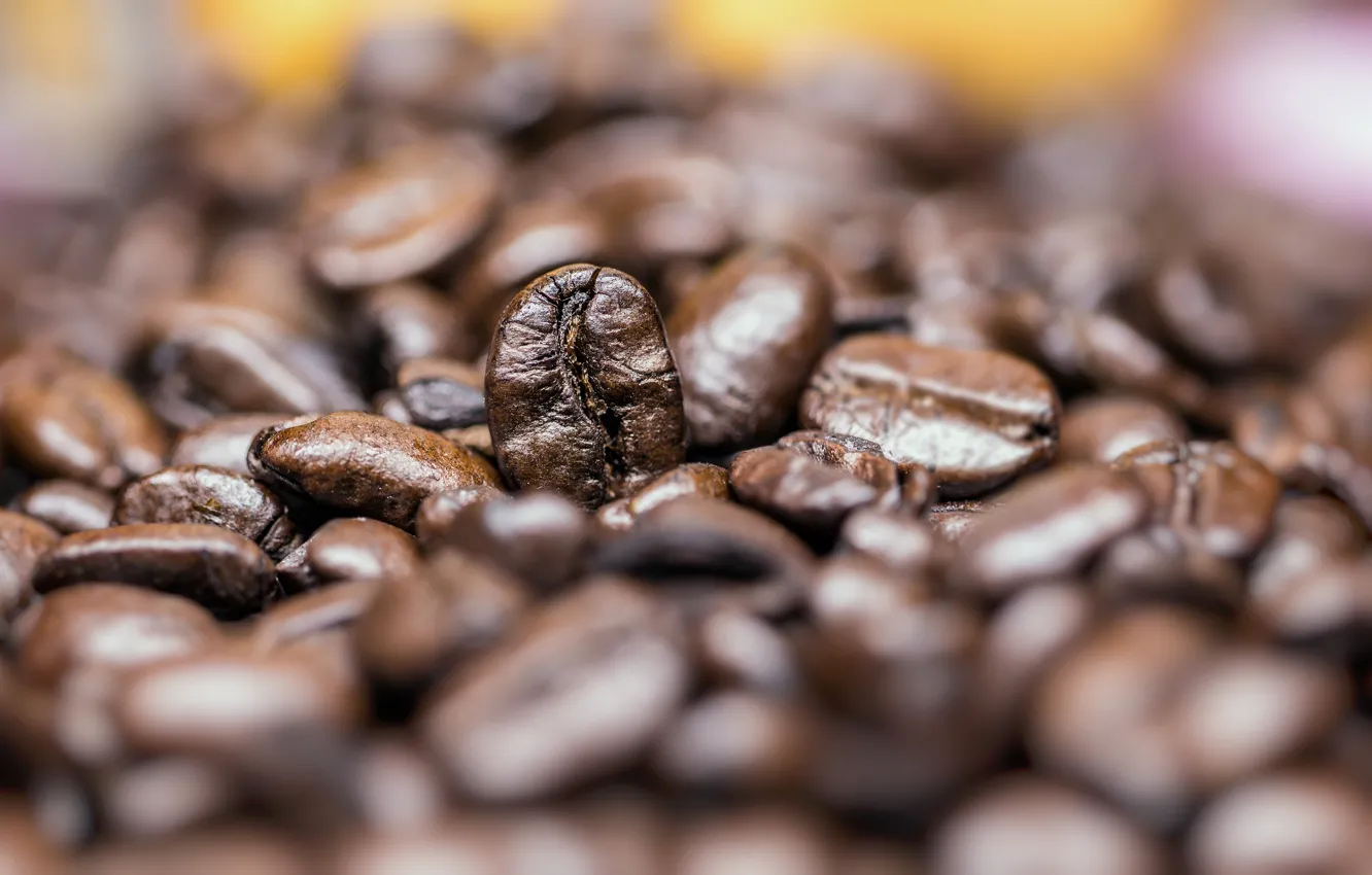 Фото обои brown, Coffee, grains, quantity