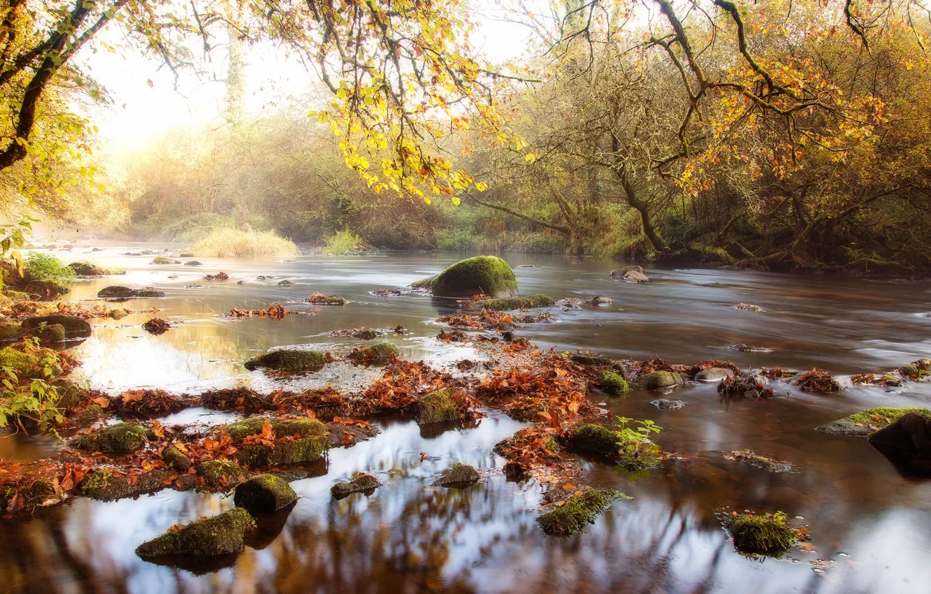 Фото обои осень, свет, ветки, природа, камни, водоем