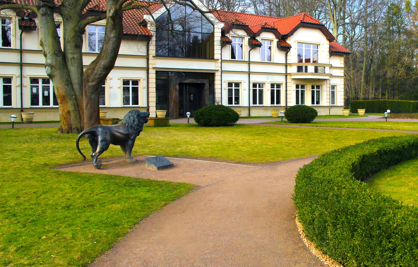 Фото обои park, alley, building