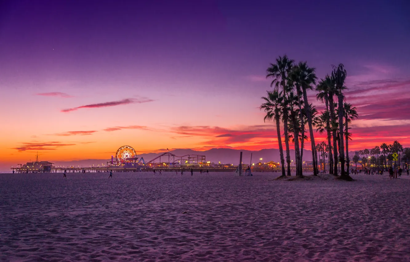 Фото обои пляж, пальмы, океан, Калифорния, США, Лос Анджелес, Санта Моника