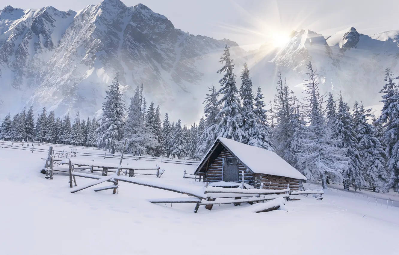 Фото обои зима, снег, горы, елки, сугробы, домик, хижина, landscape