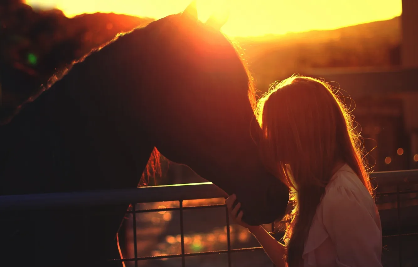 Фото обои девушка, закат, лошадь, друзья