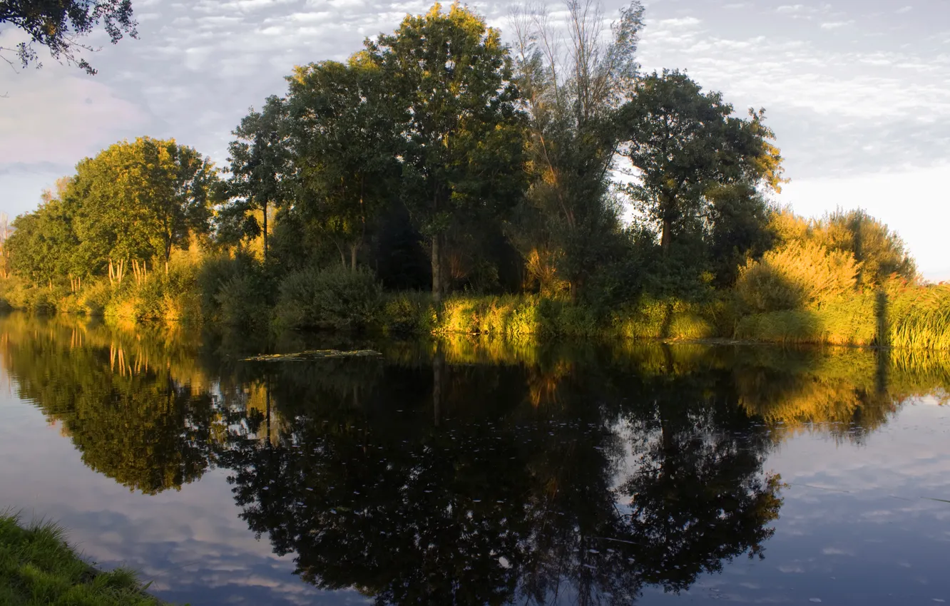 Фото обои деревья, природа, река, зеркало