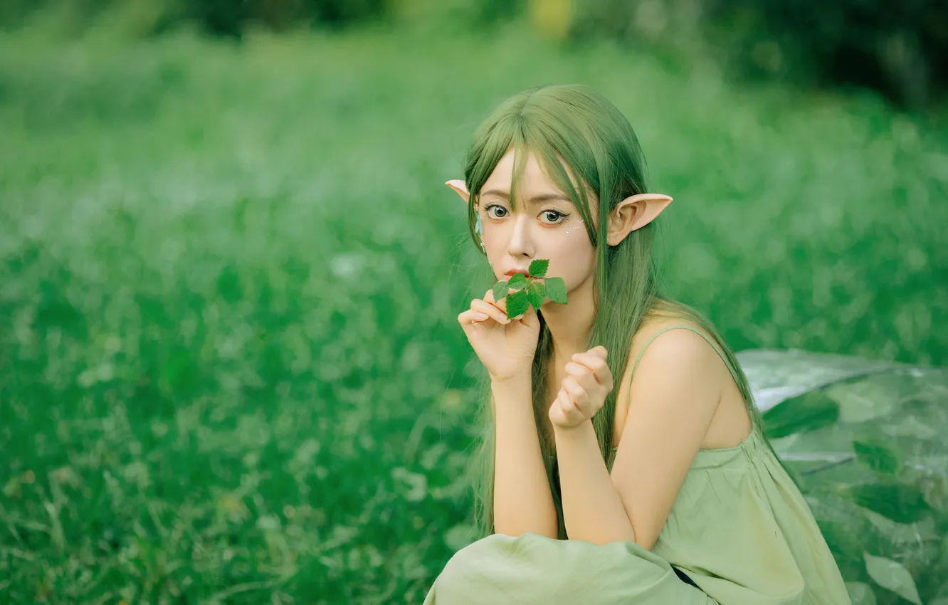 Фото обои Grass, Beautiful, Asian, Model, Umbrella, Woman, Cute, Pretty