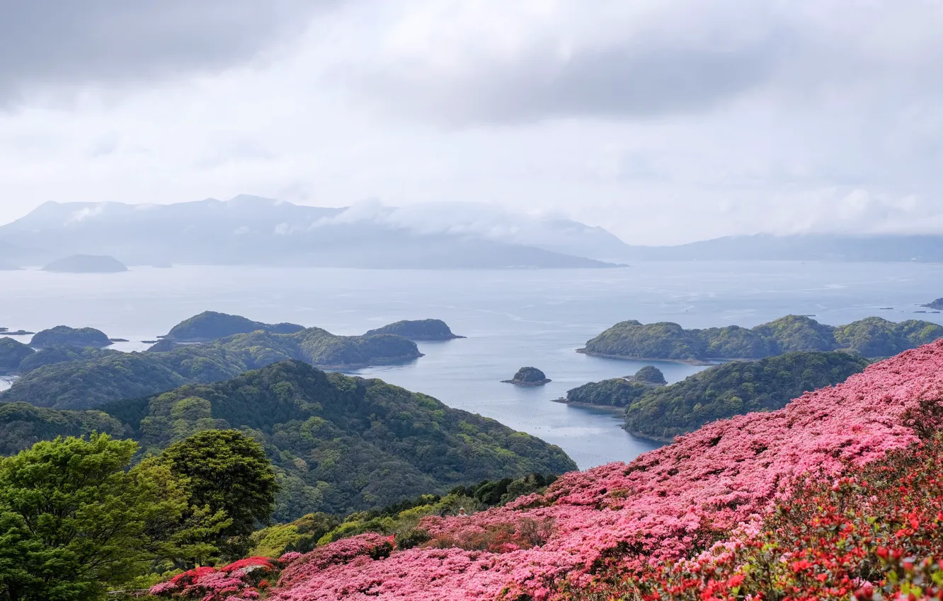 Фото обои море, острова, цветы, Япония, панорама