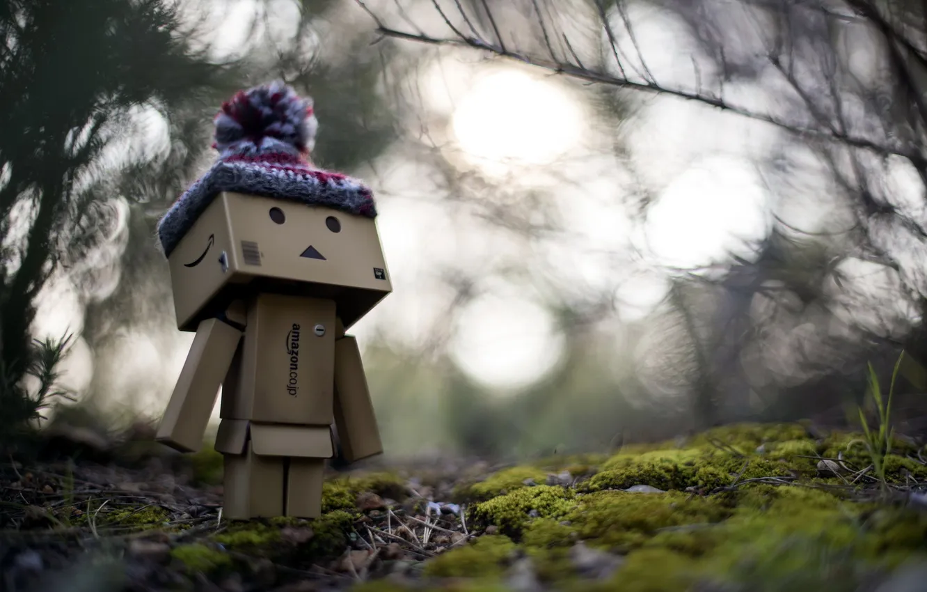 Фото обои коробка, forest, Danbo