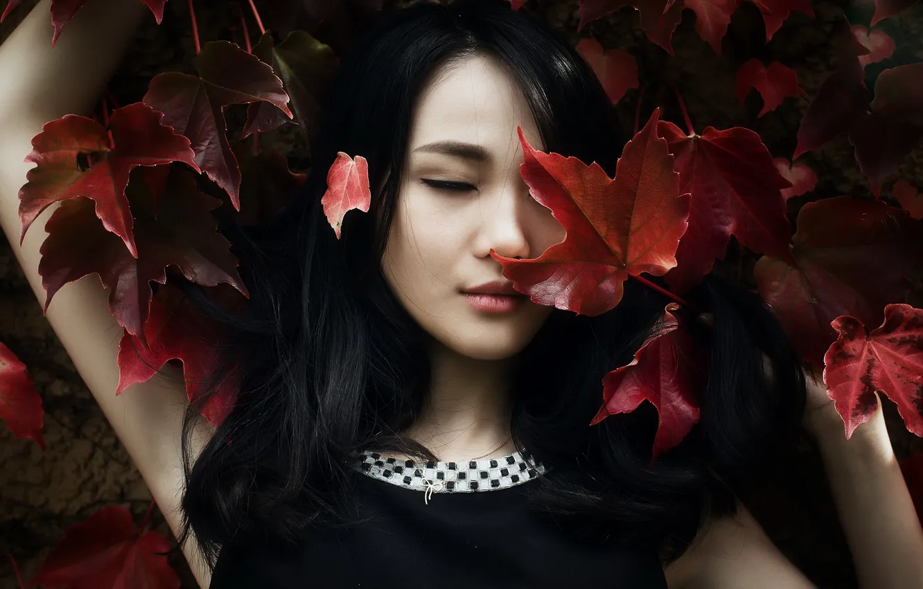 Фото обои листья, девушка, портрет