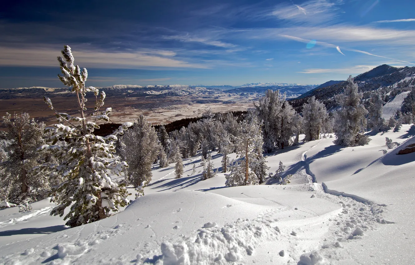 Фото обои зима, небо, облака, снег, деревья, горы, ель, долина