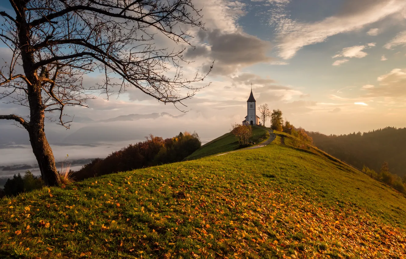 Фото обои осень, листья, дерево, холм, церковь, Словения