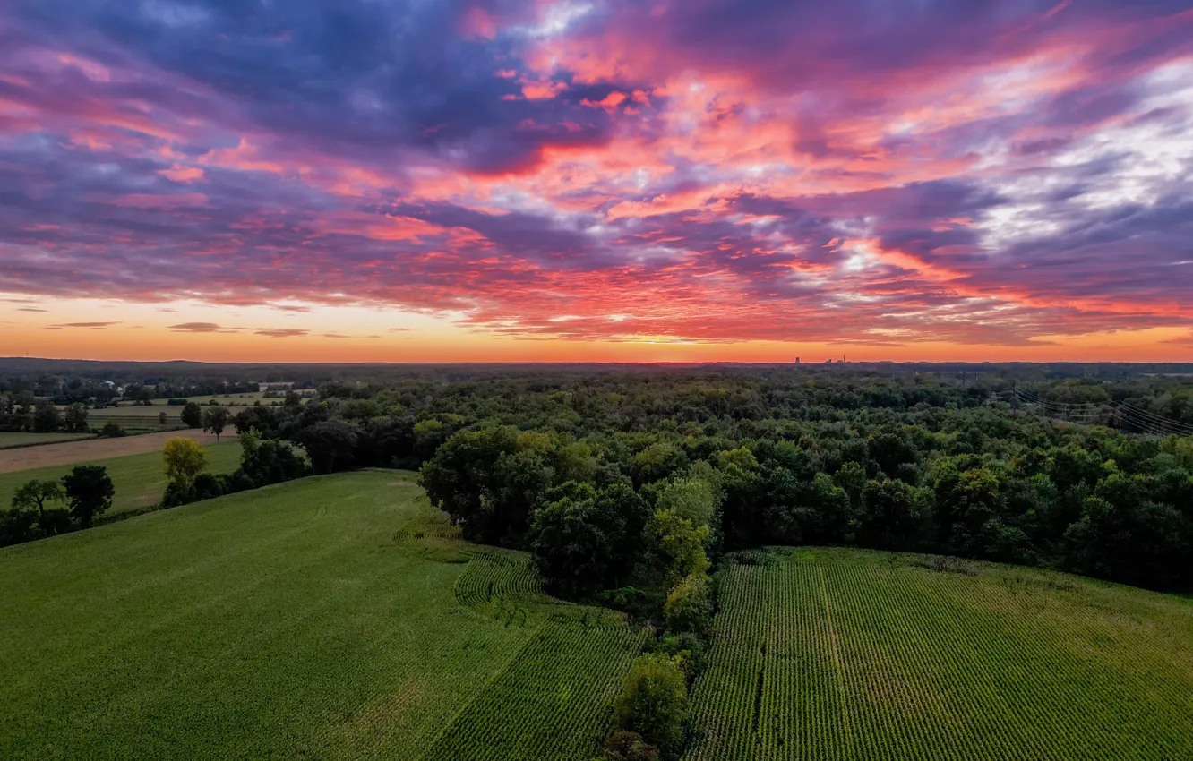 Фото обои trees, landscape, sunset, clouds, corn, farm, drone