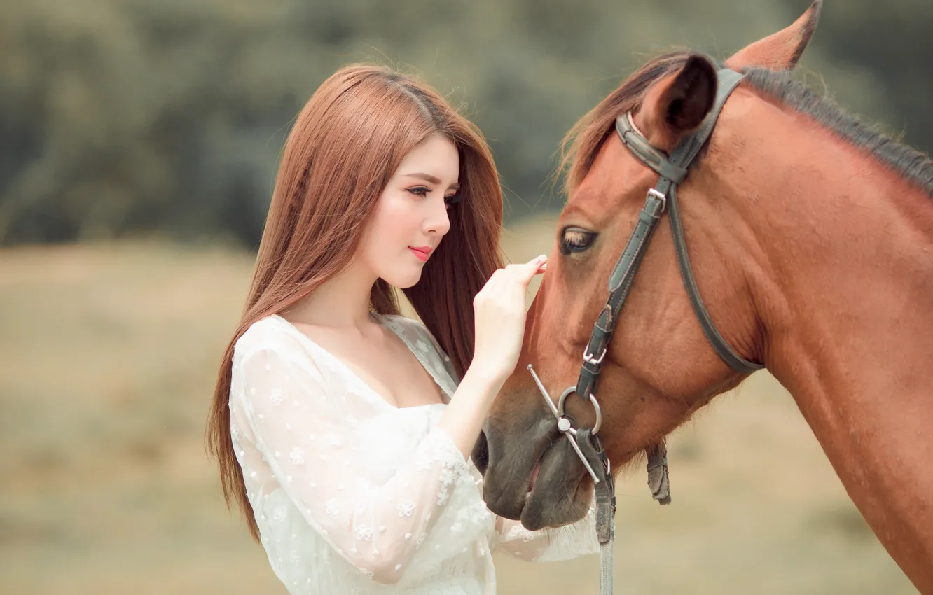 Фото обои взгляд, морда, девушка, природа, лицо, фон, друг, конь