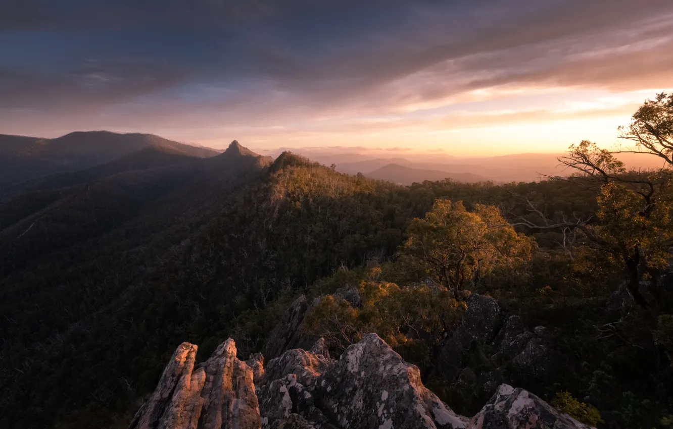 Фото обои лес, горы, камни