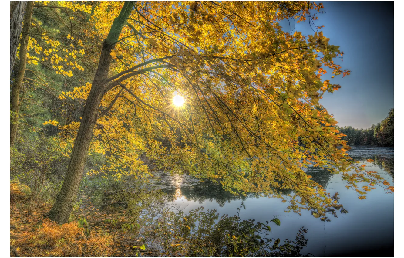 Фото обои осень, деревья, озеро, Нью-Гэмпшир, New Hampshire, Нашуа, Nashua