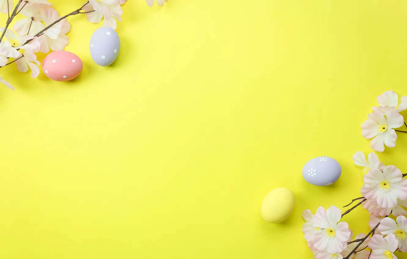 Фото обои цветы, фон, яйца, весна, Пасха, blossom, flowers, spring
