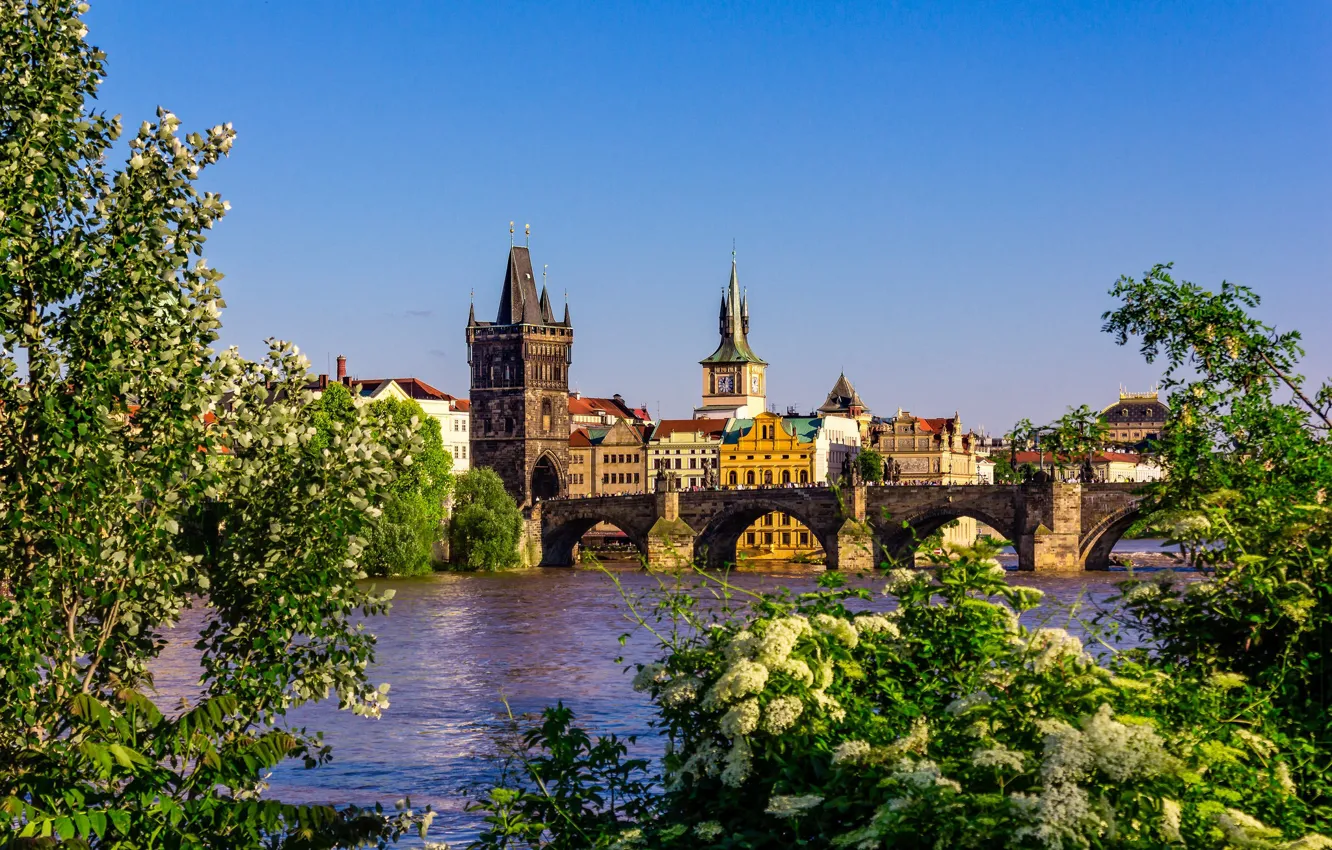 Фото обои река, весна, Прага, Чехия, Влтава, Карлов мост