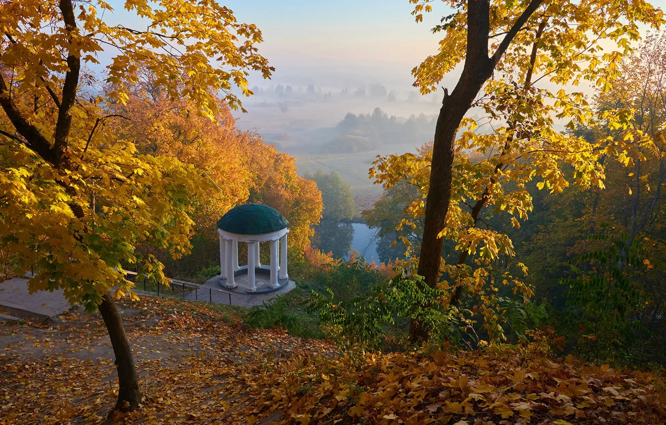 Фото обои осень, деревья, парк, река, листва, Украина, ротонда, Андрей Казун