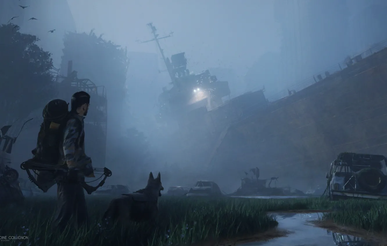Фото обои туман, ручей, корабль, собака, Breeze in monochrome night