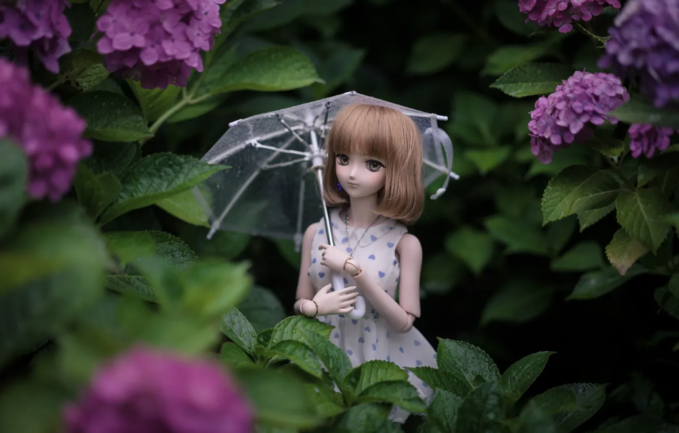 Фото обои зонтик, кукла, гортензия