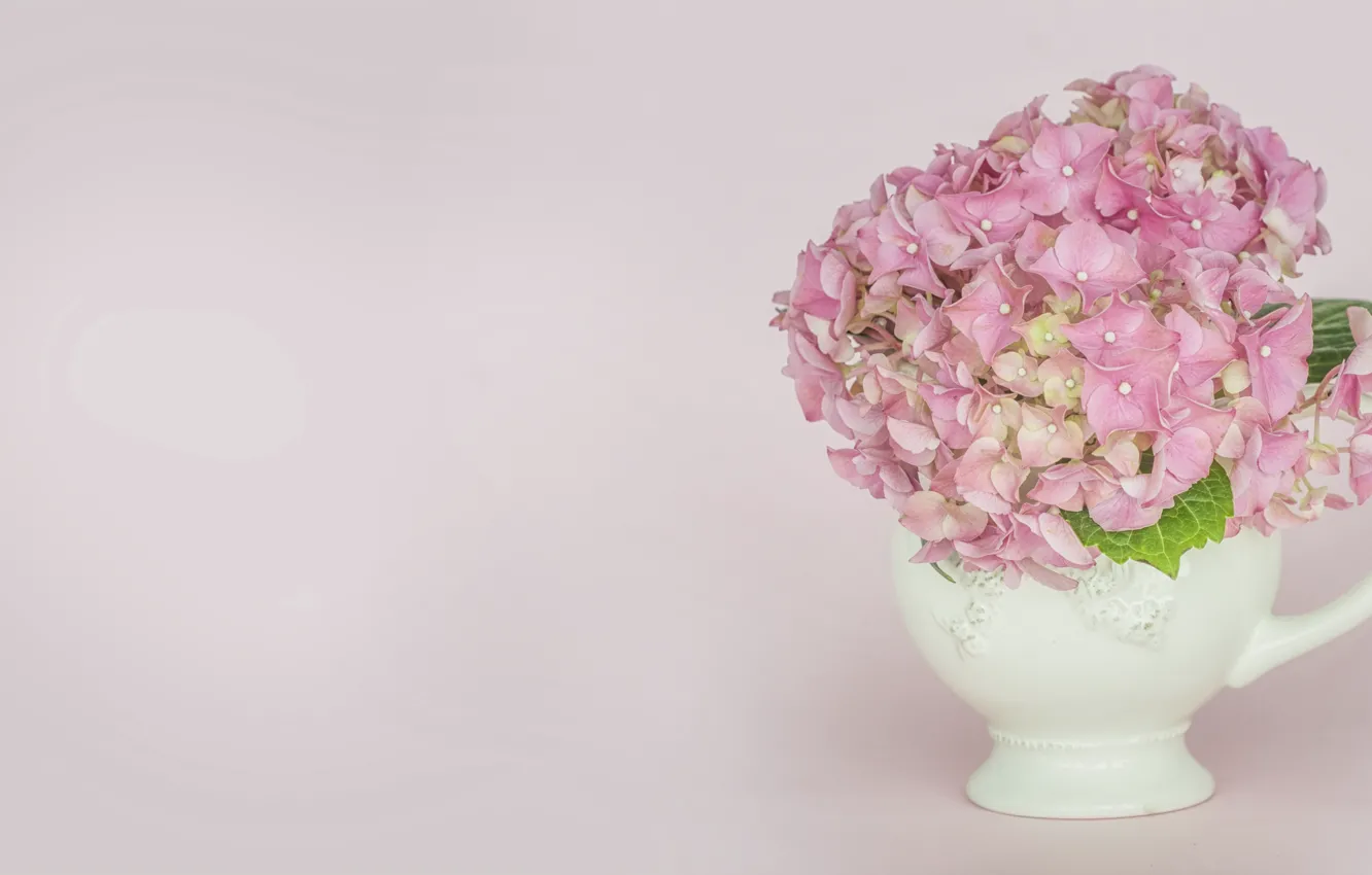 Фото обои цветы, фон, ваза, гортензия, Morganval