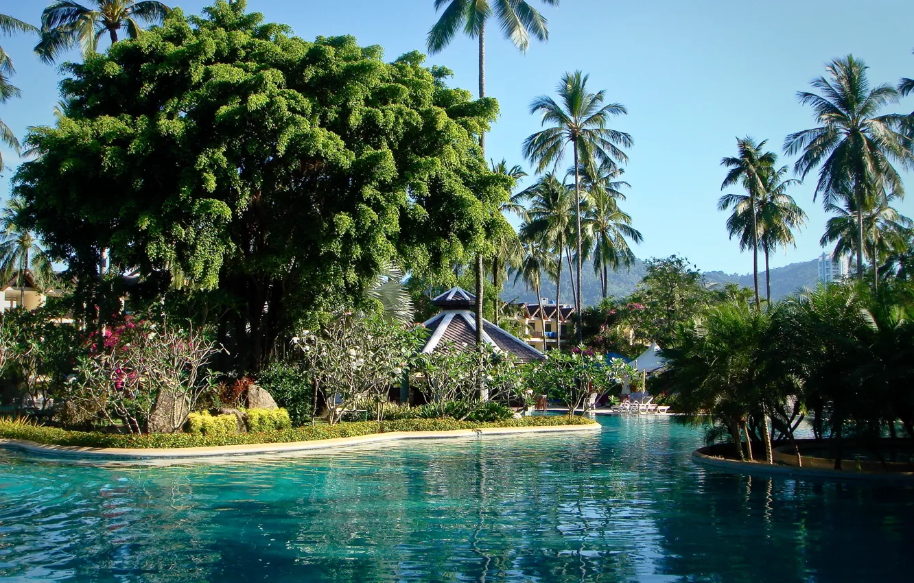 Фото обои пальмы, бассейн, phuket thailand