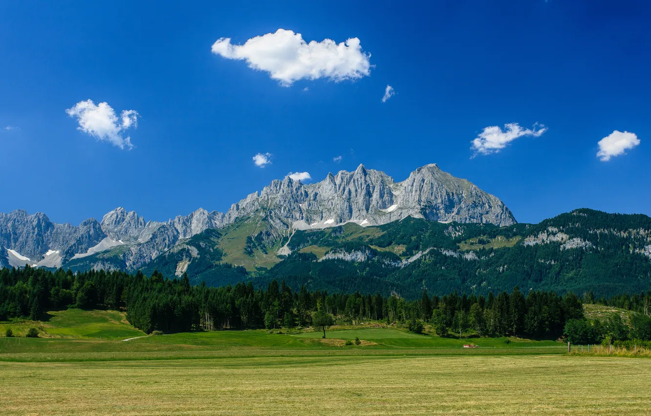 Фото обои лес, горы, Австрия, Альпы, луг, Austria, Alps, гора Вильдер Кайзер