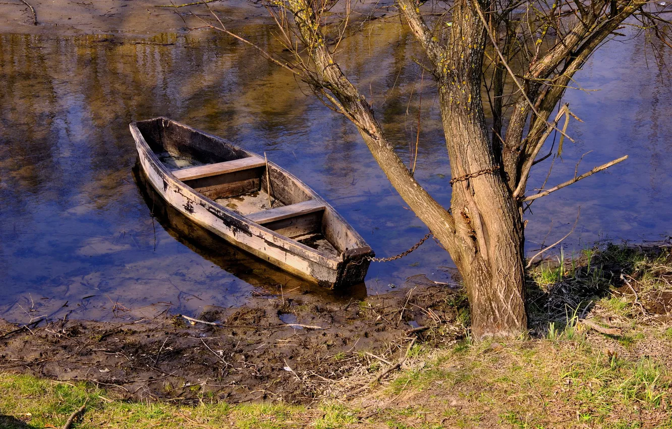 Фото обои река, дерево, лодка, цепь