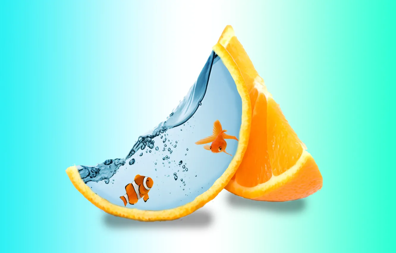 Фото обои вода, water, дольки апельсина, creative art, two fish, креативный арт, две рыбки, orange slices