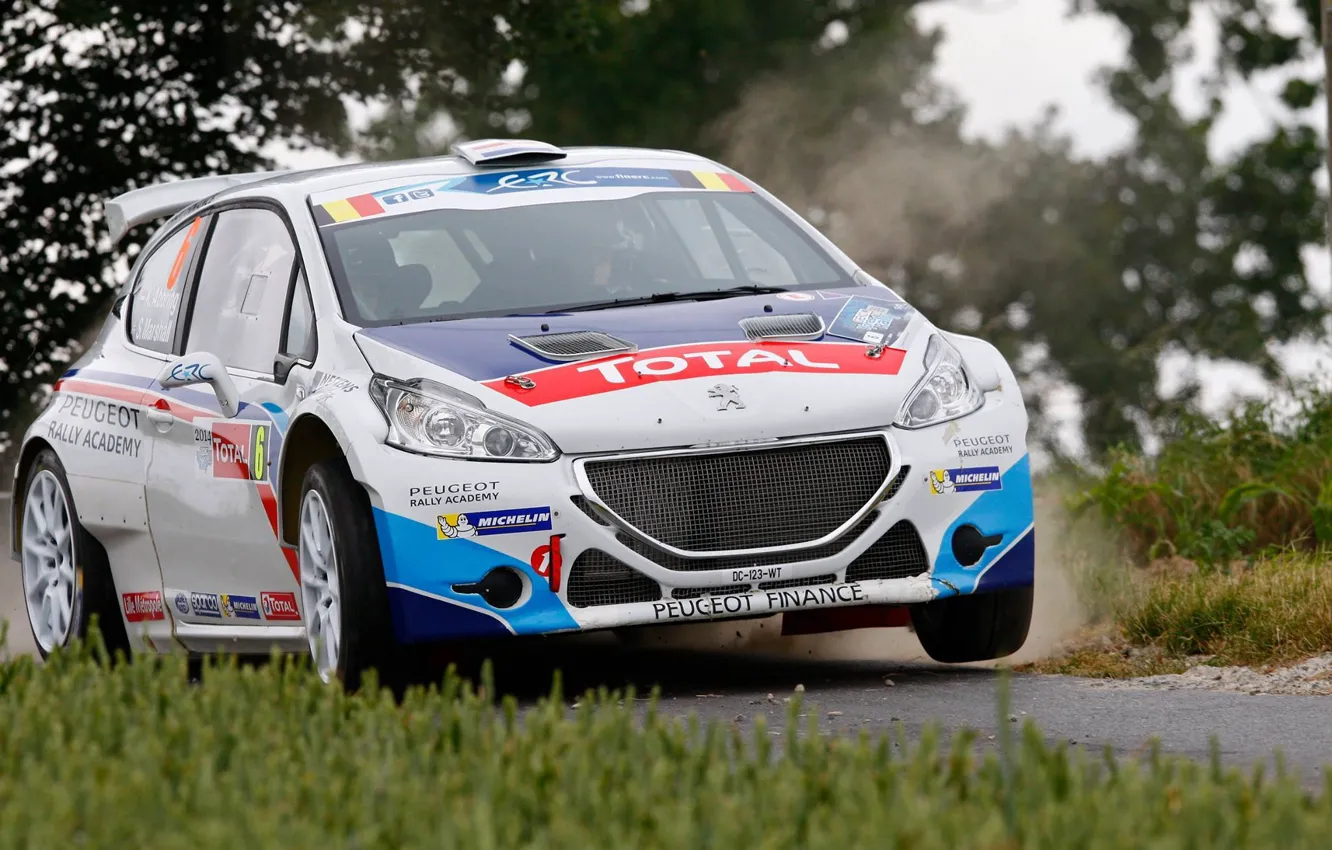 Фото обои трава, асфальт, деревья, rally, peugeot, 208, erc