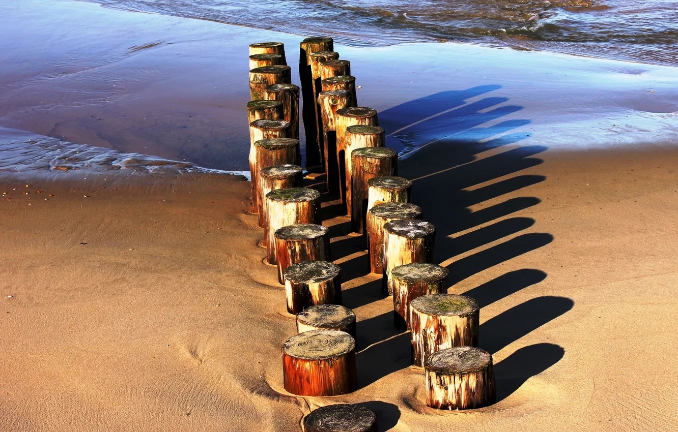 Фото обои песок, море, пенек, бревна, тени, ряды, пеньки, столбики