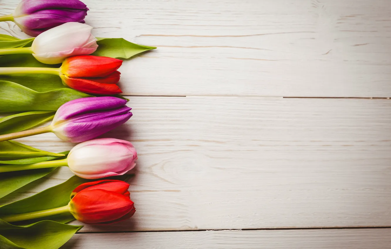 Фото обои цветы, букет, colorful, тюльпаны, red, white, wood, flowers