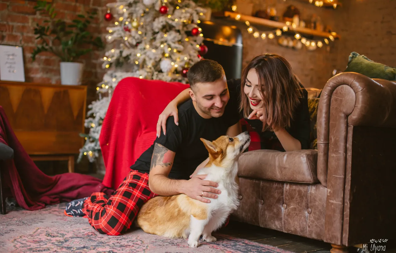 Фото обои девушка, диван, настроение, собака, Новый год, ёлка, парень, Вельш-корги