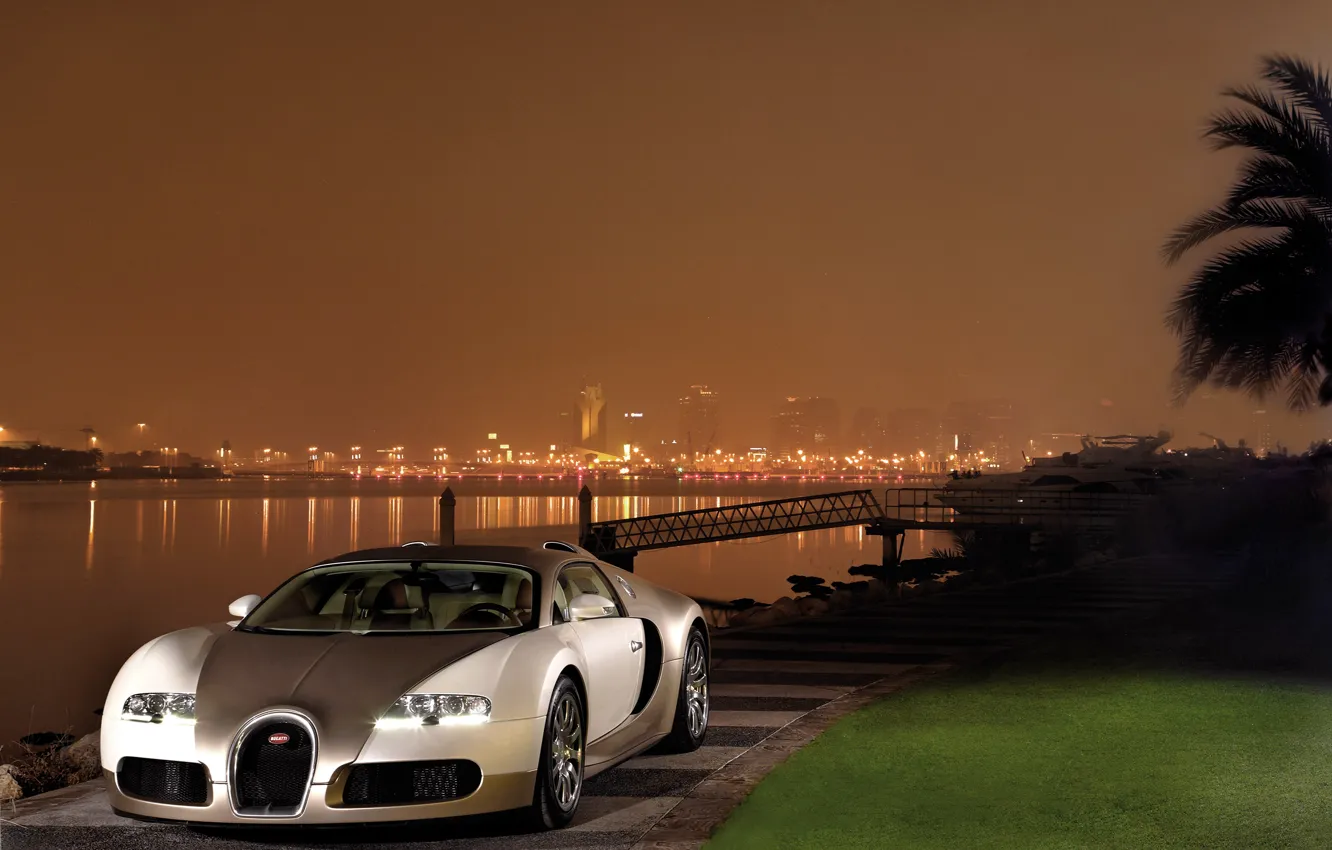 Фото обои авто, ночь, город, река, газон, обои, veyron, bugatti