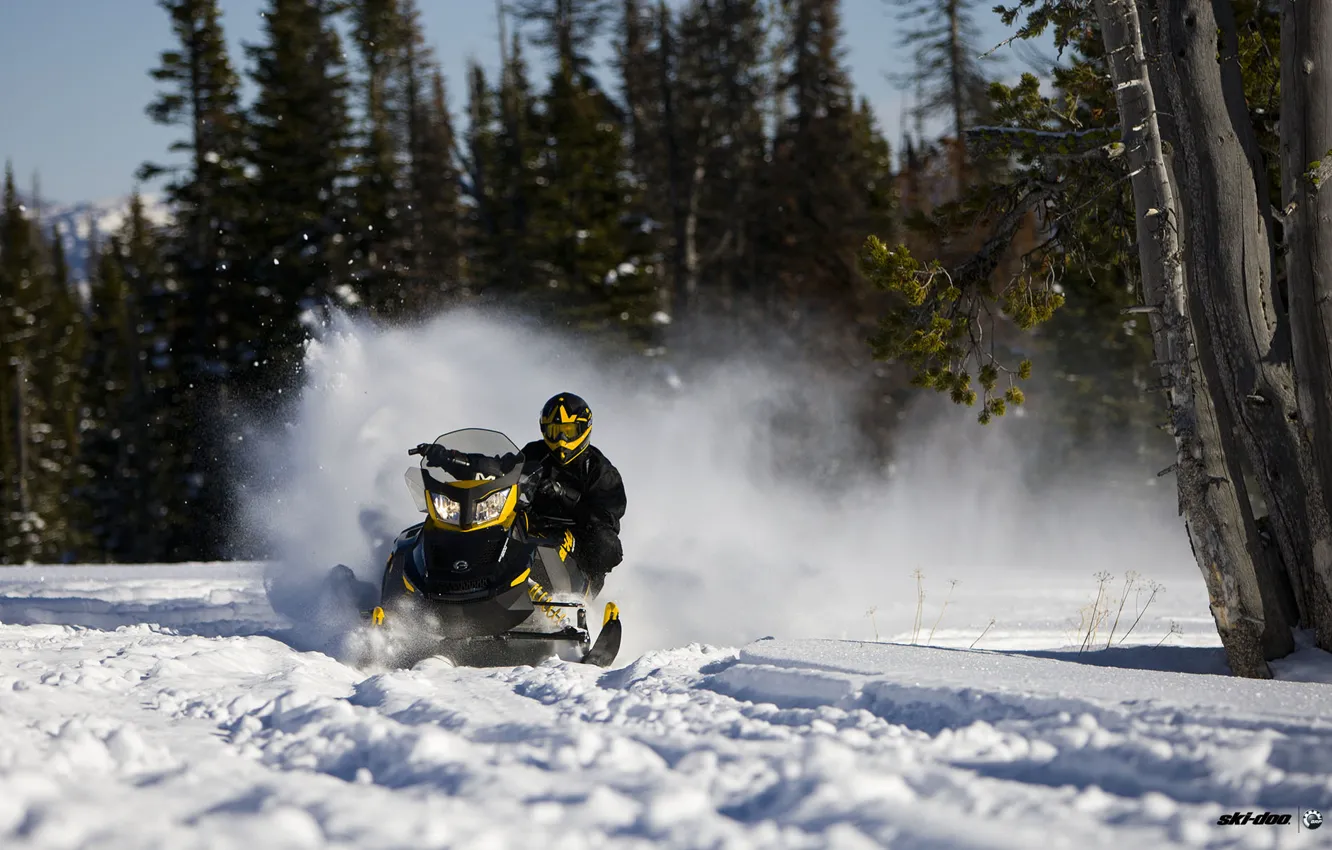 Фото обои Деревья, Снег, Лес, Снегоход, Snowmobile, Ski-Doo
