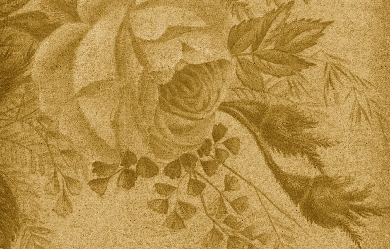 Фото обои роза, текстура, винтаж