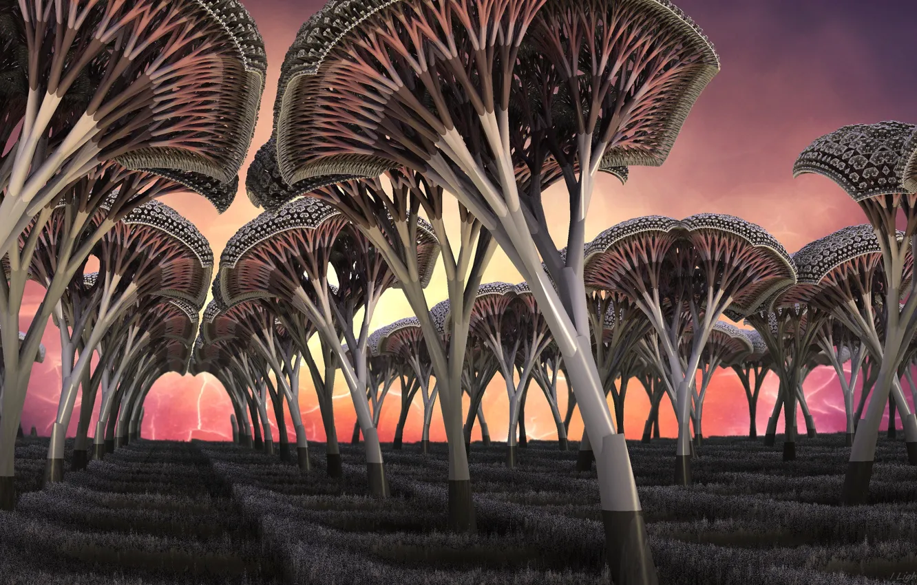 Фото обои деревья, грибы, тропа, горизонт, 3д графика