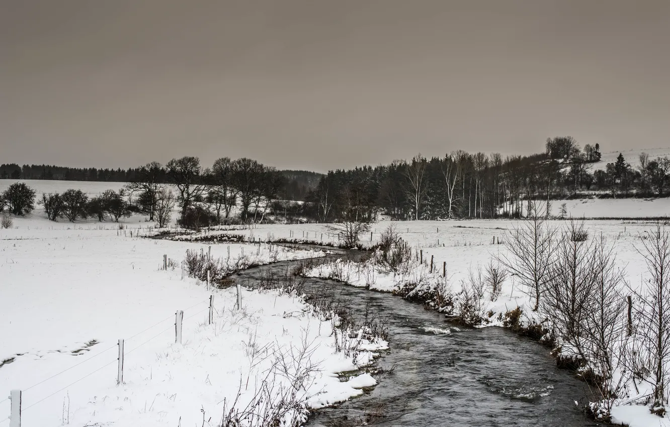 Фото обои зима, снег, деревья, забор, поток, холодная, серые облака