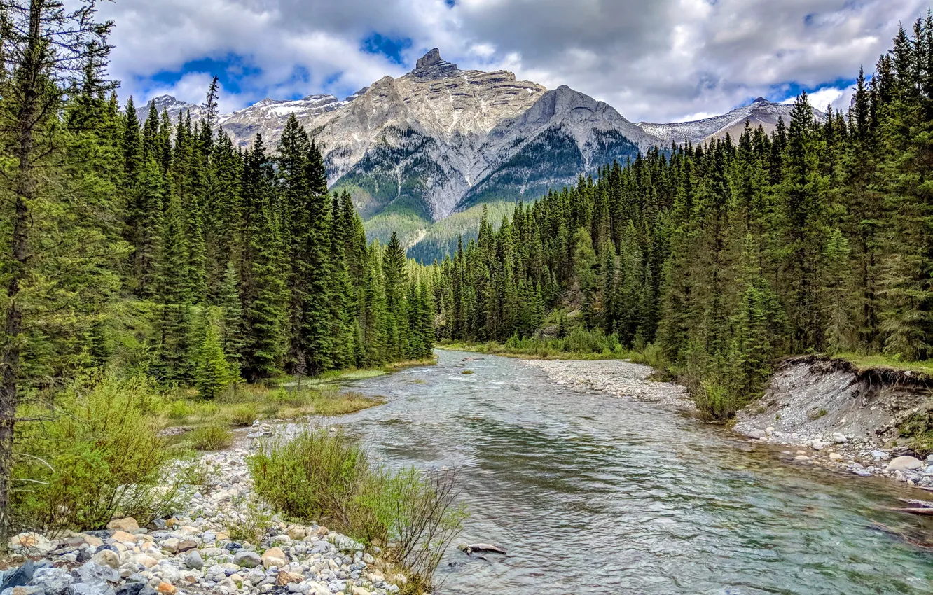 Фото обои лес, небо, облака, деревья, горы, камни, скалы, Канада