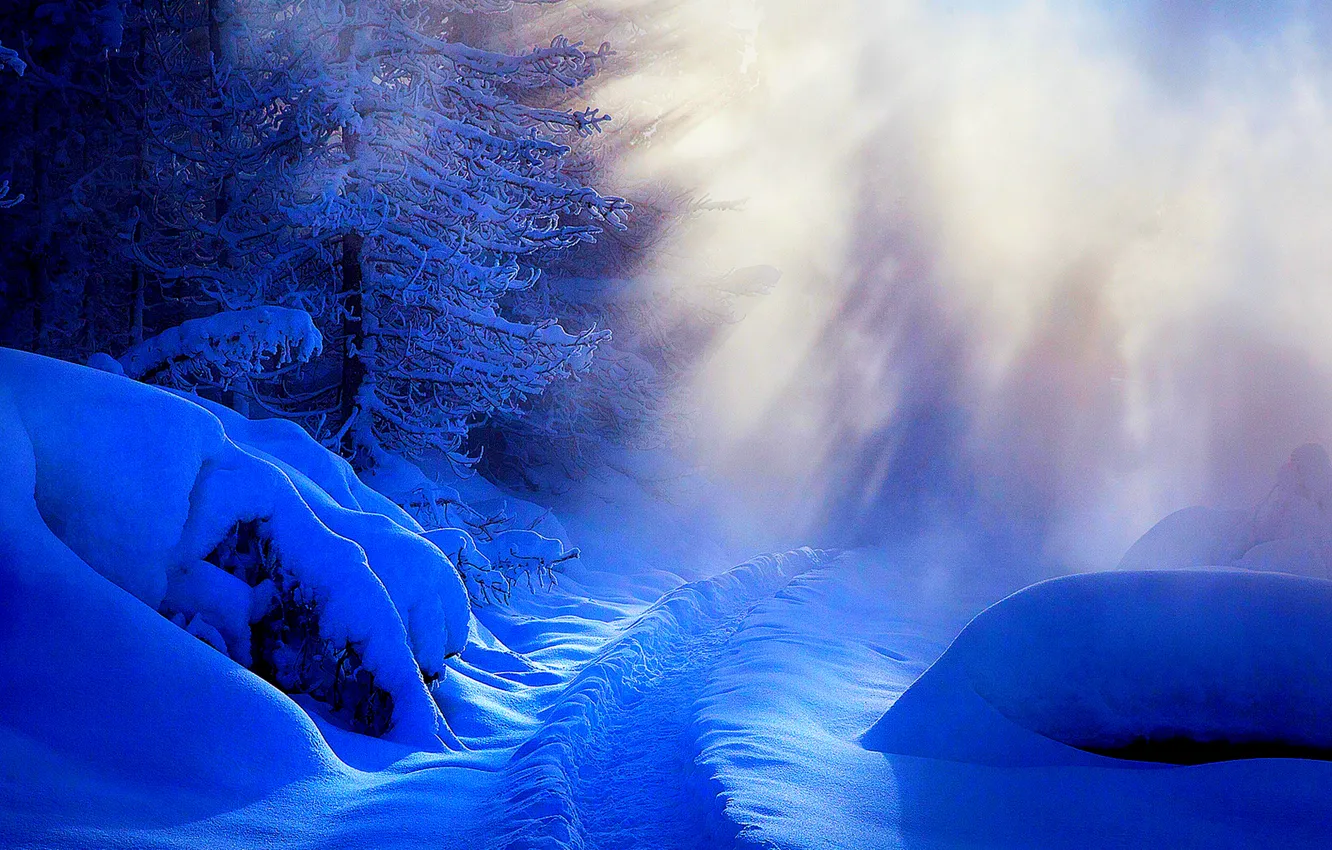 Фото обои зима, дорога, лес, небо, снег, деревья, пейзаж, природа