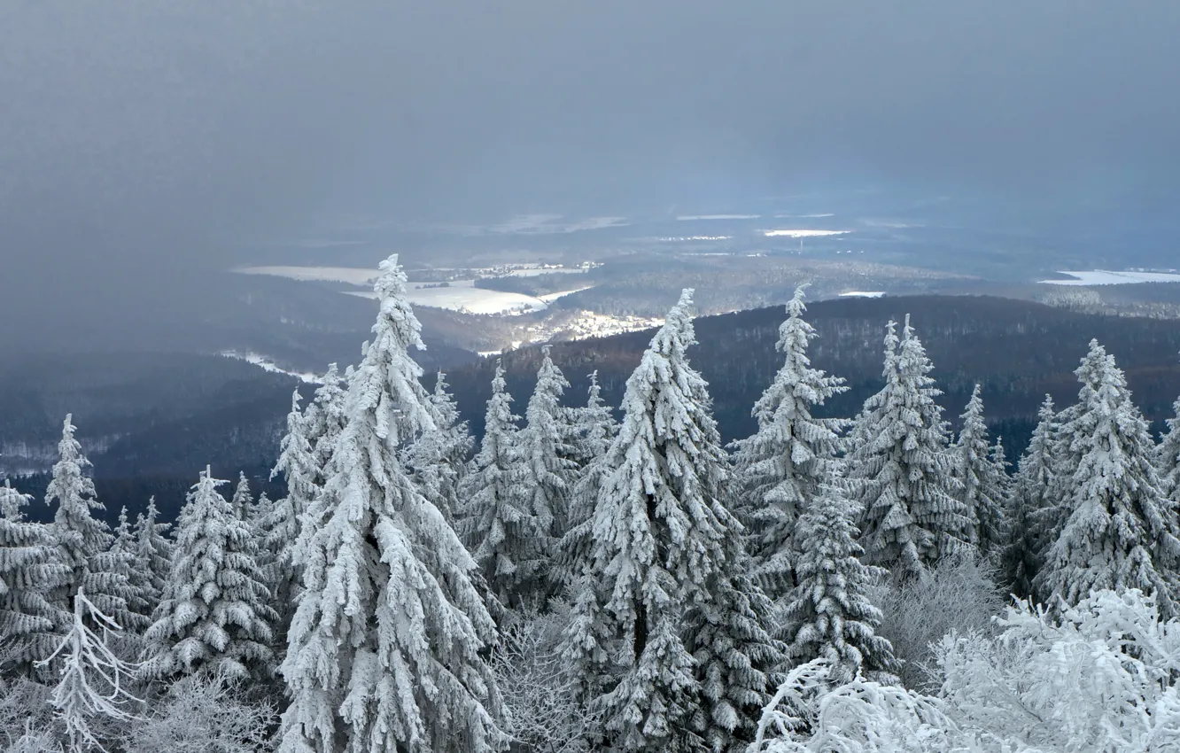Фото обои зима, лес, горы