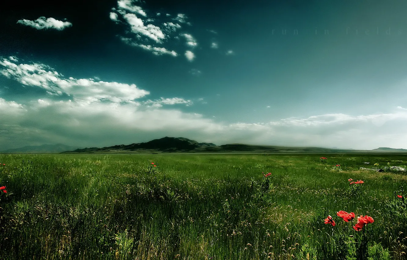 Фото обои трава, облака, гора, Поле