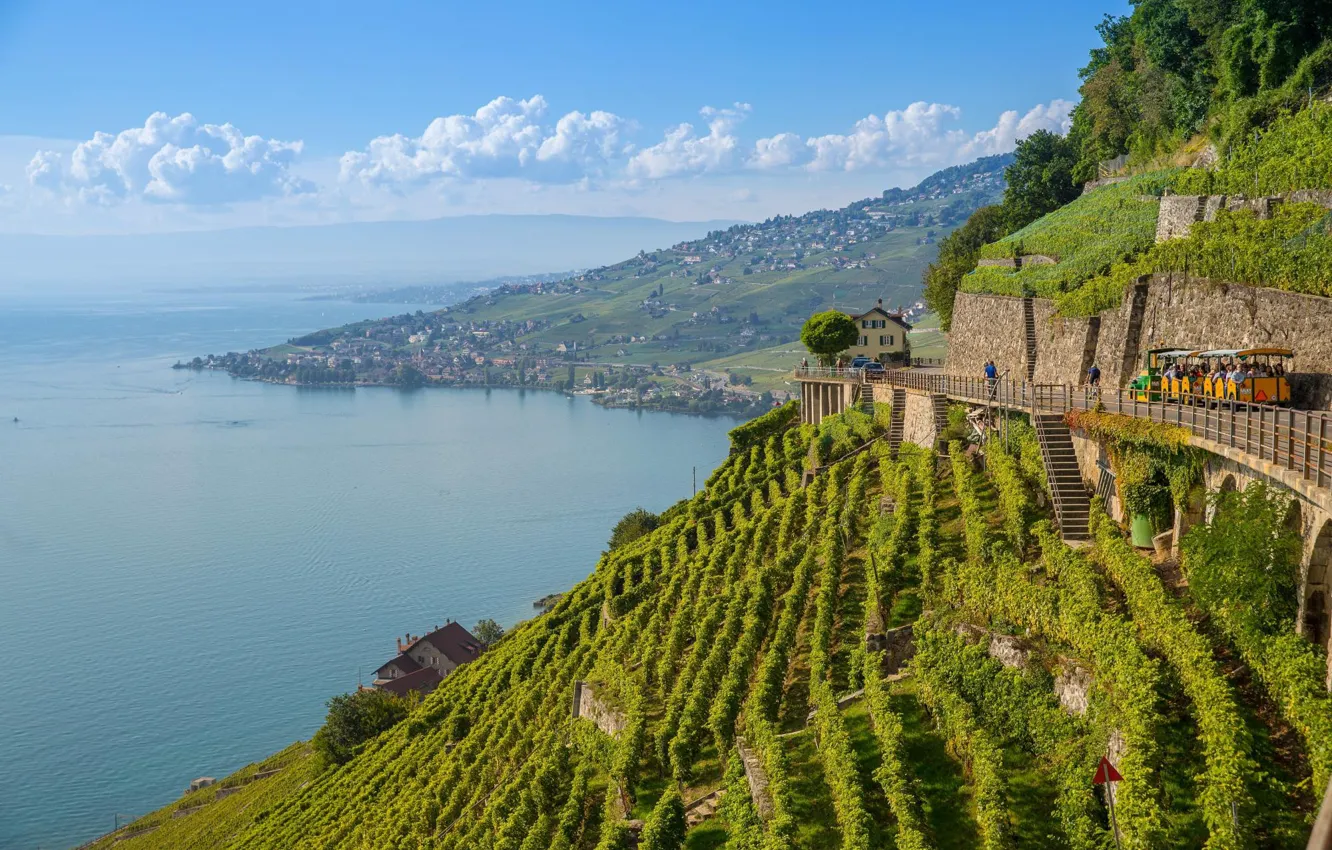 Фото обои озеро, Швейцария, Альпы, виноградники, Лаво