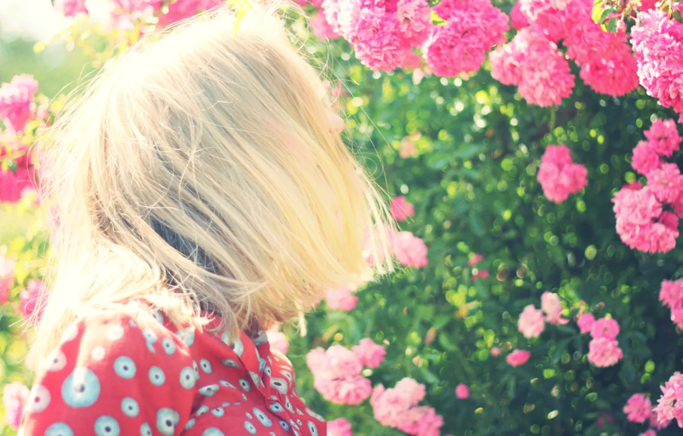 Фото обои девушка, цветы, волосы, сад, боке