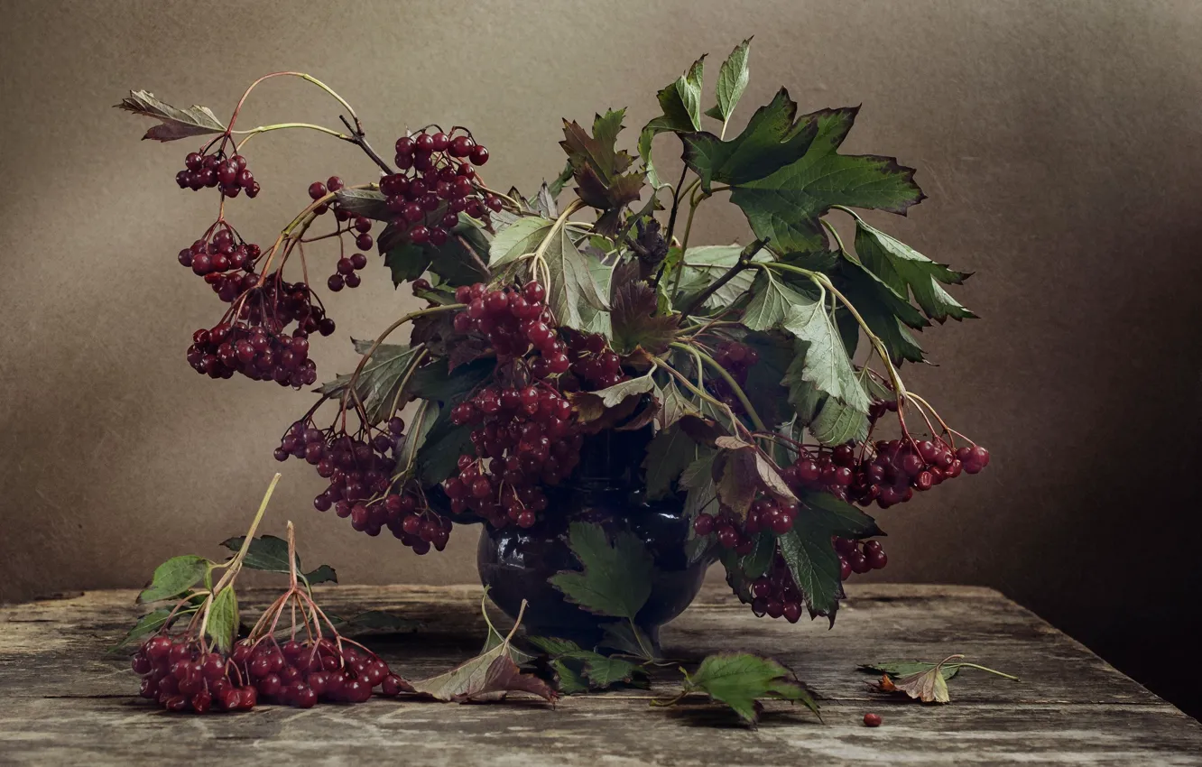 Фото обои ягоды, букет, натюрморт, калина