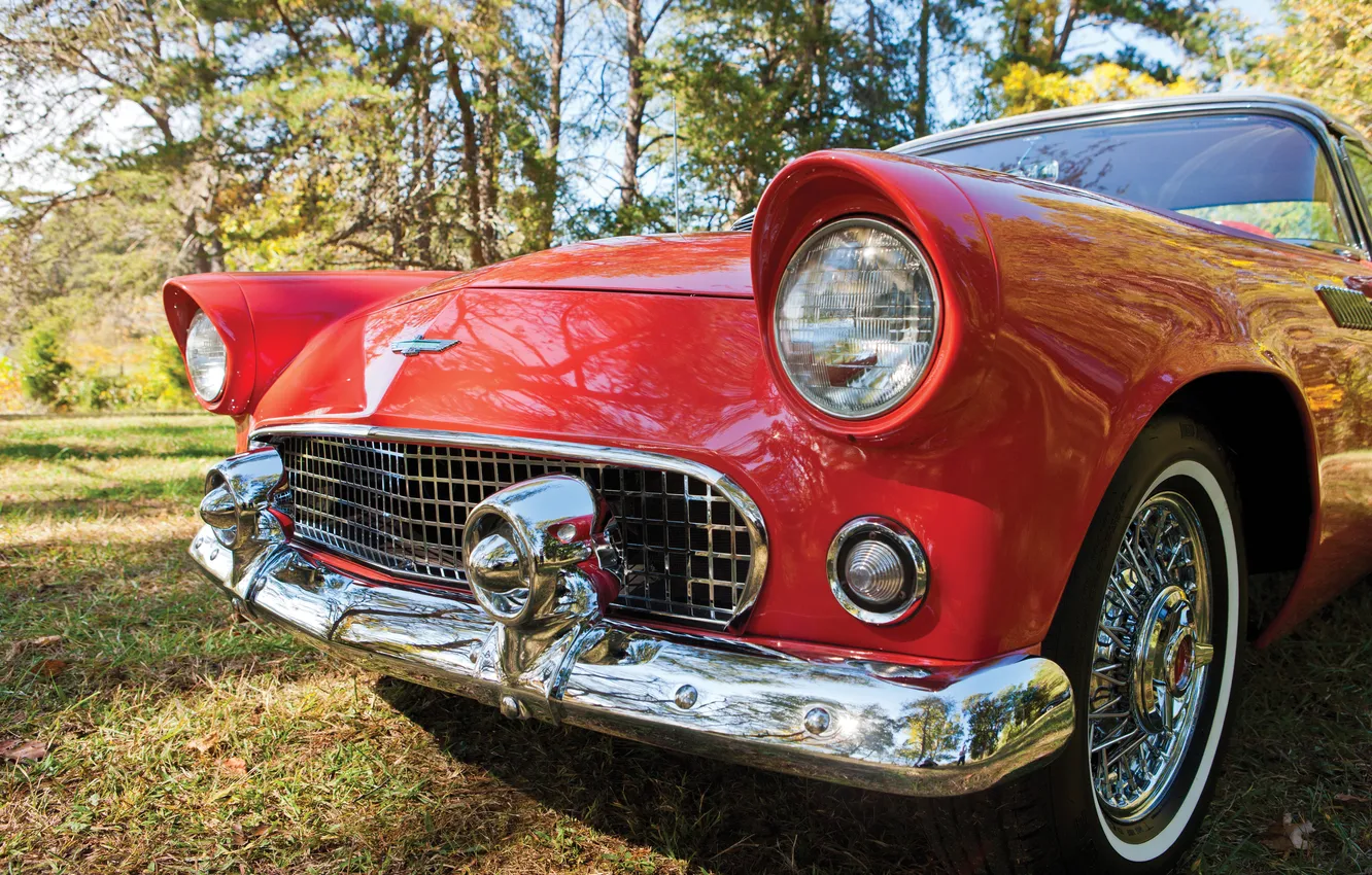 Фото обои Ford, Форд, 1965, ретро автомобили, Thunderbird, retro cars, Ford Thunderbird Convertible